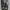 Sportswear Casual Sneakers Wanita white black photo 2