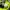 Gorpcore Futurist Windbreaker Pria green gray photo 4