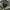 Gorpcore Futurist Windbreaker Pria green gray photo 3