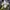 Gorpcore Casual Windbreaker Pria navy photo 4