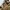 Vintage Streetwear Parka Pria tan cream photo 5