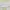 Fairy Coquette Mini skirt Wanita green pink photo 1