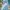 Casual Muslim Wanita pink blue photo 4