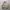 Japanese brand Vintage Streetwear Bomber jacket Pria cream photo 1