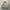 Japanese Brand Vintage Streetwear Bomber Jacket Pria Cream