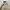 Japanese brand Vintage Streetwear Bomber jacket Pria cream photo 2