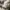 Japanese brand Vintage Streetwear Bomber jacket Pria cream photo 3