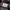 Avirex Vintage Streetwear Parka Pria black photo 3