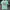 Obey Streetwear Y2K T-shirt Pria green photo 1