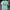 Obey Streetwear Y2K T-shirt Pria Green