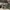 Balenciaga Y2K Luxury Sunglass Pria white black photo 4