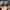 Balenciaga Y2K Luxury Sunglass Pria white black photo 3