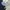 Tommy Hilfiger Avant Garde Minimalist Formal shirt Pria white blue photo 7