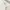 WHO.A.U Avant Garde Minimalist Blouse Wanita white photo 6