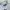 Polo Ralph Lauren Avant Garde Minimalist Formal shirt Pria blue photo 5