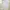 Polo Ralph Lauren Avant Garde Minimalist Formal shirt Pria blue photo 1