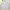 Polo Ralph Lauren Avant Garde Minimalist Formal Shirt Pria Blue