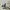 Polo Ralph Lauren Avant Garde Minimalist Formal shirt Pria white gray photo 6