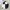 Canterbury Avant Garde Casual Sweater Pria White Navy