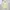 Beanpole Avant Garde Minimalist Cardigan Wanita cream photo 1