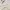 Beanpole Avant Garde Minimalist Cardigan Wanita cream photo 3