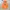 Teenie Weenie Avant Garde Minimalist Hoody Pria orange photo 1