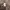 Chrome Hearts Streetwear Avant Garde Track jacket Pria brown photo 6