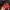 Casual Bomber jacket Pria red black photo 5
