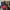 Casual Bomber jacket Pria red black photo 8