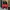 Casual Bomber Jacket Pria Red Black