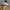 Puma Streetwear Casual Sneakers Wanita white pink photo 3