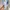 Adidas Streetwear Casual Casual shoe Pria white cream photo 4