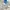 Adidas Streetwear Casual Casual shoe Pria white cream photo 8