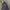 Gorpcore Sportswear Windbreaker Pria black photo 3