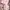 Victoria’s Secret Streetwear Casual Tas dompet Wanita pink photo 2