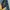 Louis Vuitton Casual Jeans Pria navy photo 5