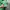 WHO.A.U Streetwear Suit Pria green photo 5