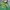 WHO.A.U Streetwear Suit Pria green photo 2