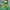 WHO.A.U Streetwear Suit Pria Green