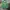 WHO.A.U Streetwear Suit Pria green photo 1