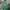 WHO.A.U Streetwear Suit Pria Green