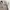 Vintage Formal shirt Pria cream photo 5