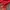 Pancoat Futurist Suit Pria red photo 6