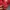 Pancoat Futurist Suit Pria red photo 5