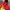 Pancoat Futurist Suit Pria red photo 2