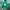 Pancoat Futurist Suit Pria green photo 2
