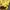 Pancoat Futurist Suit Pria yellow photo 5