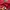 Pancoat Gorpcore Sportswear Suit Pria red photo 4