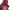 Eider Gorpcore Casual Parka Pria burgundy photo 4