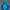K2 Gorpcore Track jacket Wanita blue photo 2